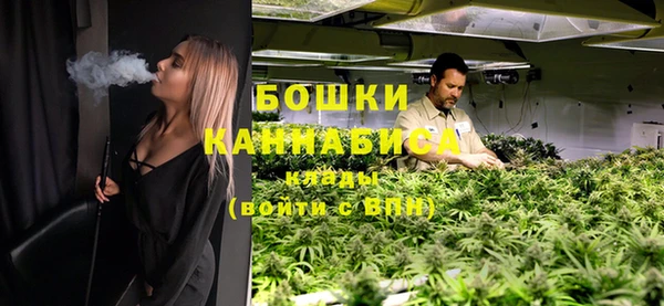 молекула духа Нязепетровск