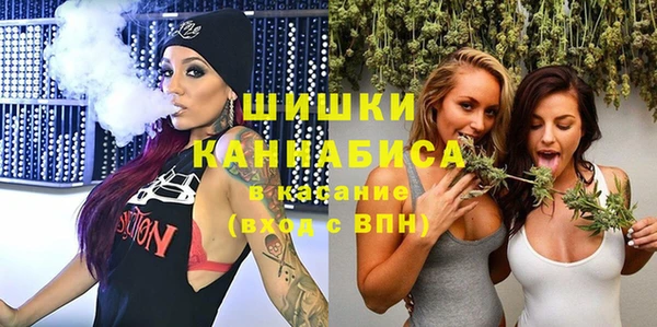 молекула духа Нязепетровск