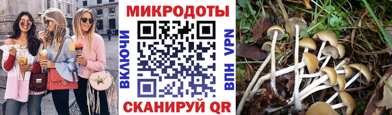 shop как зайти  Алексеевка  Псилоцибиновые грибы MAGIC MUSHROOMS  купить  цена 