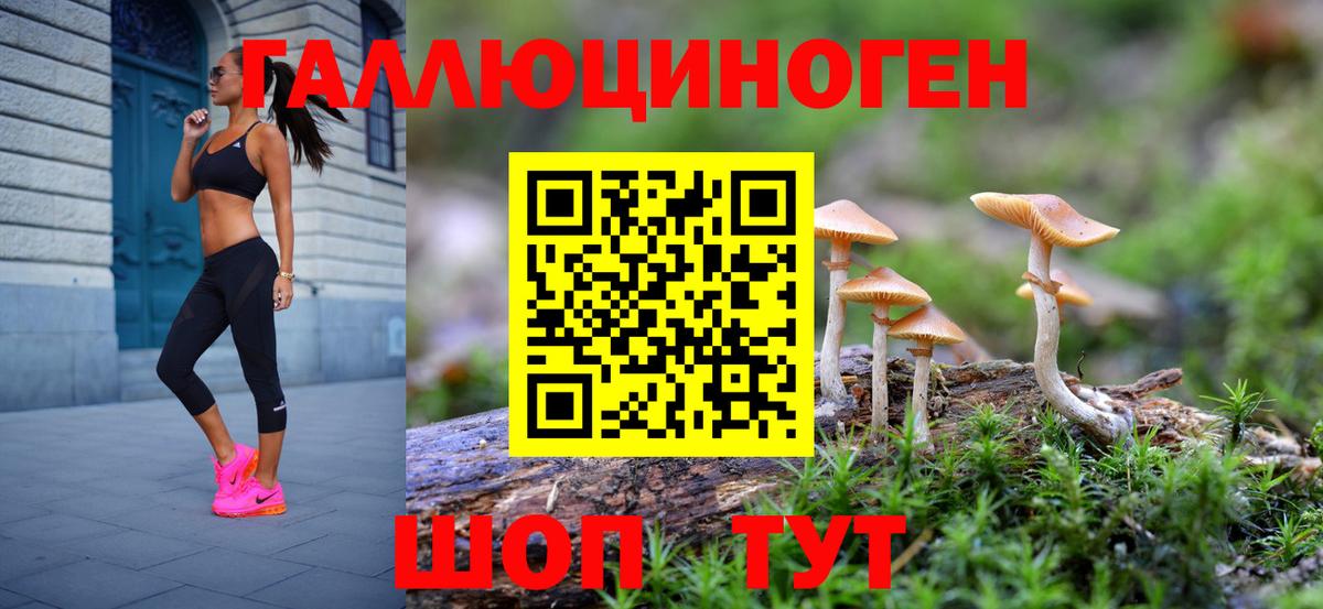 купить  сайты  Алексеевка  Псилоцибиновые грибы MAGIC MUSHROOMS 