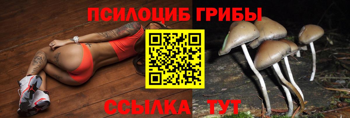 Псилоцибиновые грибы MAGIC MUSHROOMS  Вход с VPN  Алексеевка 