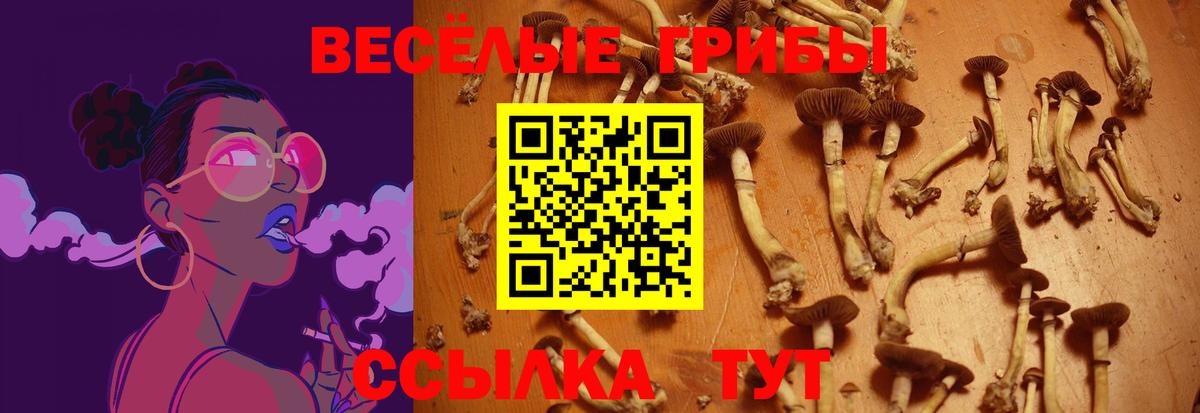 Псилоцибиновые грибы GOLDEN TEACHER Алексеевка