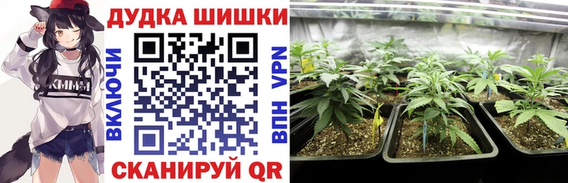 Канабис LSD WEED  блэк спрут вход  Алексеевка 